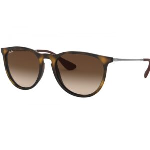 Ray Ban 4171 Erika 865/13