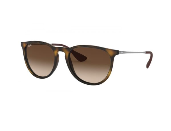 Ray Ban 4171 Erika 865/13