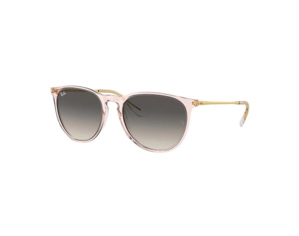Ray Ban 4171 Erika 6742/11