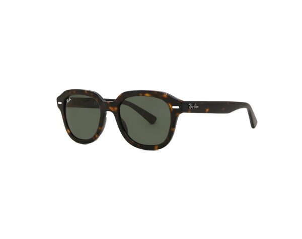 Ray Ban 4398 Erik 902/31